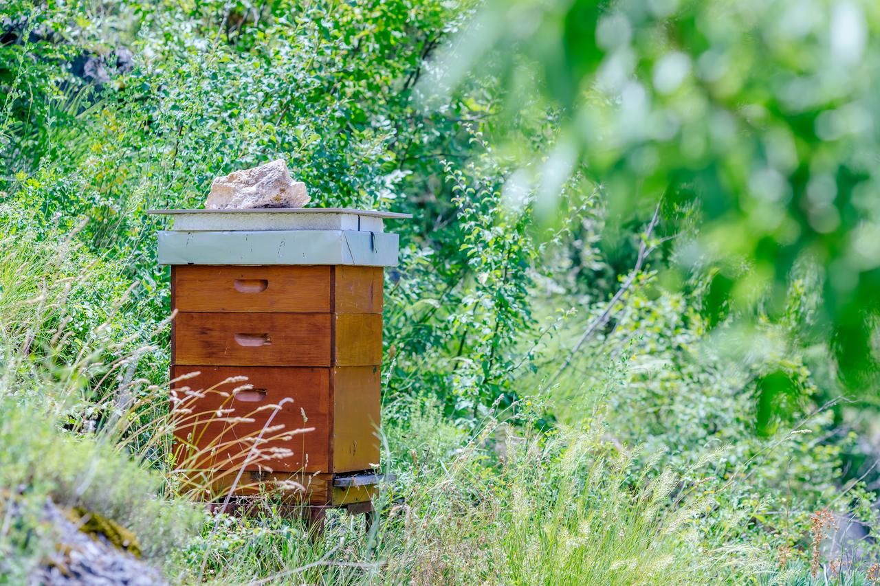 Загородные дома RUSTIC HOUSE LEKOVIĆ Вирпазар-26