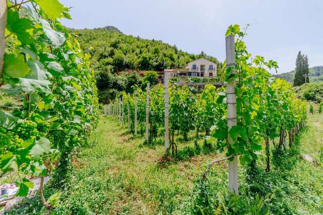 Загородные дома RUSTIC HOUSE LEKOVIĆ Вирпазар-24