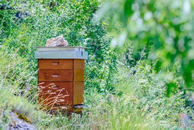 Загородные дома RUSTIC HOUSE LEKOVIĆ Вирпазар-25