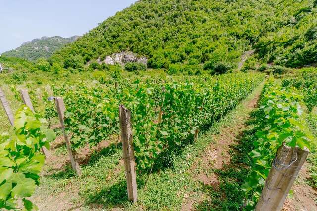 Загородные дома RUSTIC HOUSE LEKOVIĆ Вирпазар-26