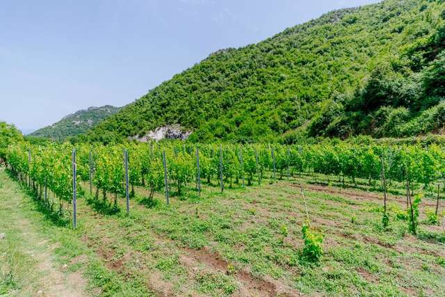 Загородные дома RUSTIC HOUSE LEKOVIĆ Вирпазар-29