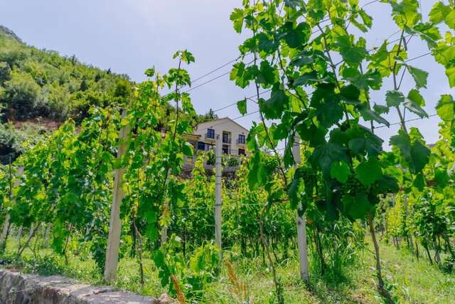 Загородные дома RUSTIC HOUSE LEKOVIĆ Вирпазар-31